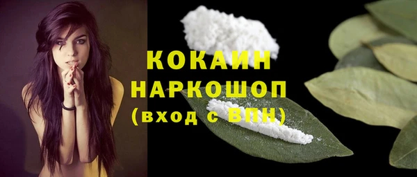 твердый Богданович