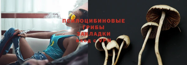 твердый Богданович