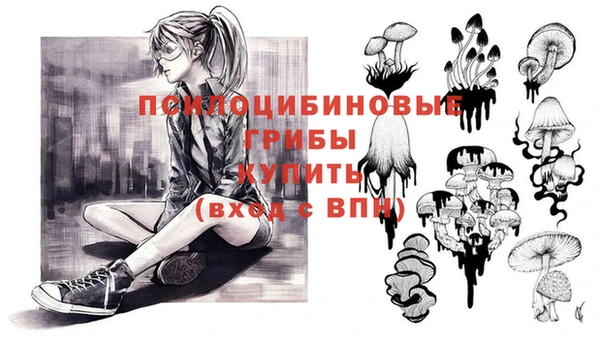 твердый Богданович