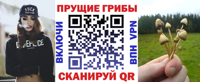 Галлюциногенные грибы мухоморы  Дно 